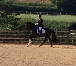 Waverley Dante qualifies for the National Championships