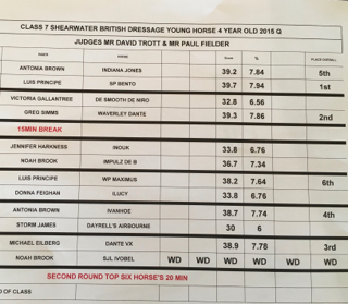 Waverley Dante qualifies in hot company