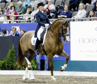 Partnership with Louisa Eadie,  US based Grand Prix rider!