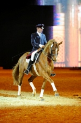 Londonderry named Hanoverian Stallion of the Year 2013 on Sa