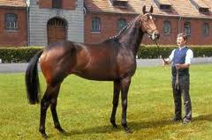 Sad news of the death of Lauries Crusador