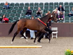 Herwart von der Decken Show