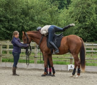 Waverley Federer (Teddy) backed!