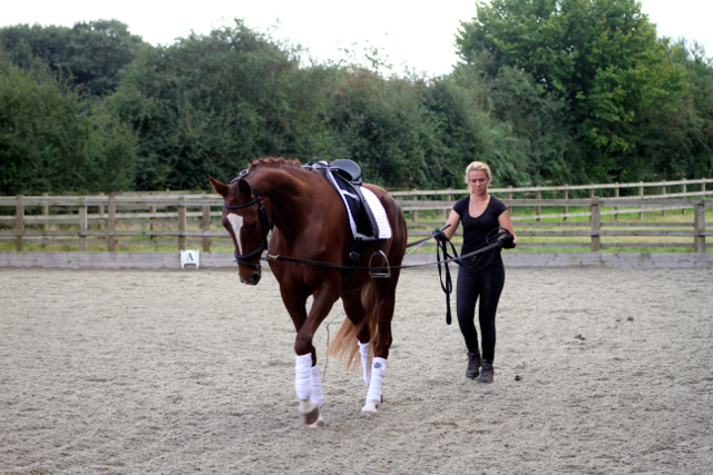 Waverley Florisgold (2011)