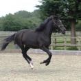 Giselle at 2 yrs