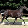 Rhaja at 20 years of age