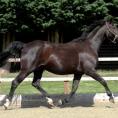 Rhaja at 20 years of age