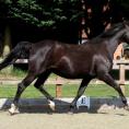 Rhaja at 20 years of age