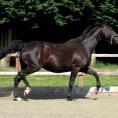 Rhaja at 20 years of age