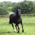 Rhaja at 18 years