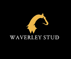 Exceptional Bloodstock acquired by Waverley Stud
