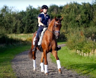 Waverley Federer (2012)