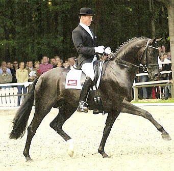 Furst Heinrich